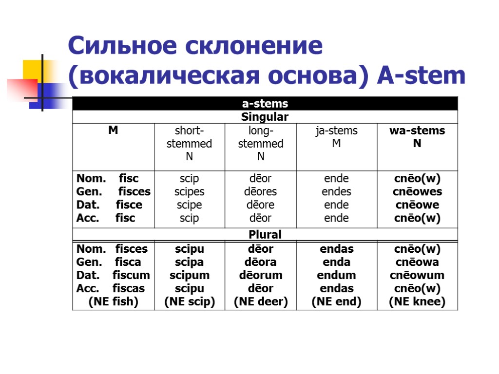 Сильное склонение (вокалическая основа) А-stem